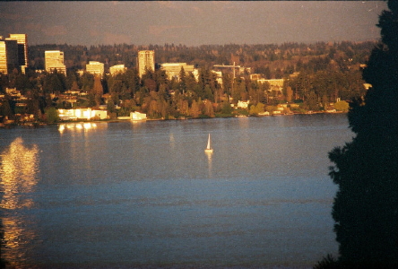 Sailboat on Lake Washington